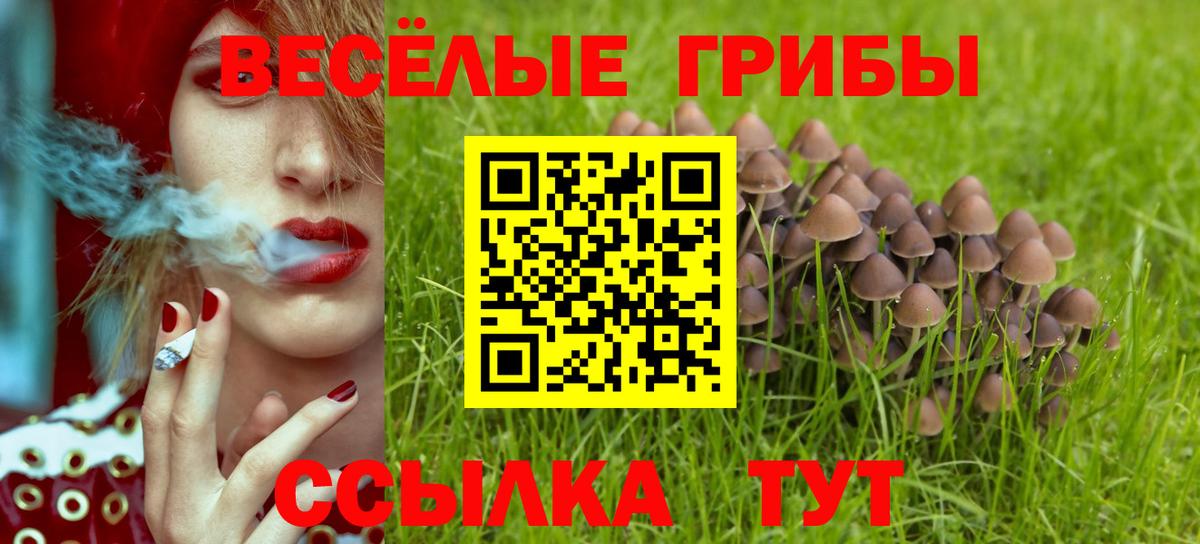 Галлюциногенные грибы Psilocybe  Вход с VPN  Великие Луки 