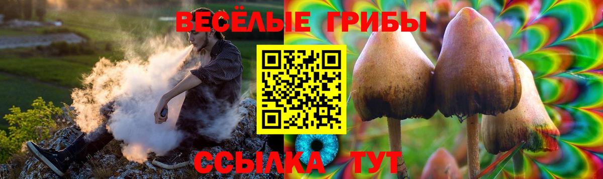 Галлюциногенные грибы мицелий Великие Луки